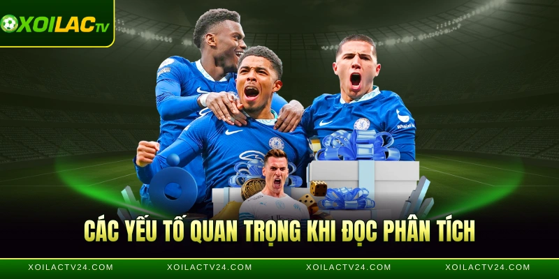 Các yếu tố quan trọng khi đọc phân tích