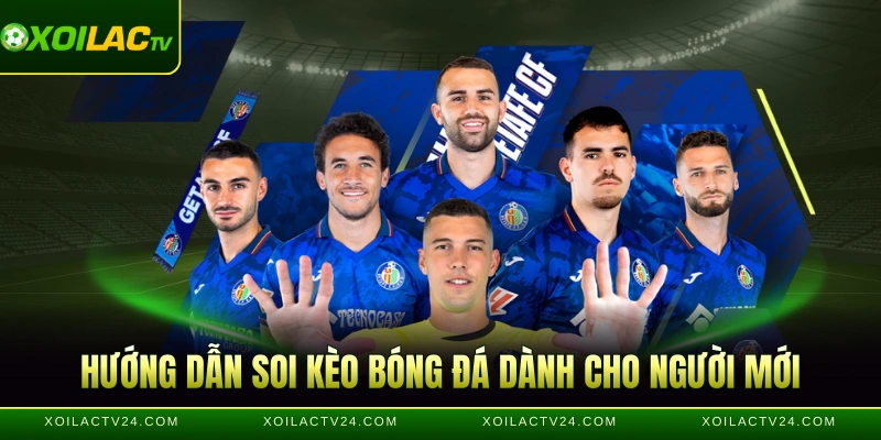 Hướng dẫn soi kèo bóng đá dành cho người mới