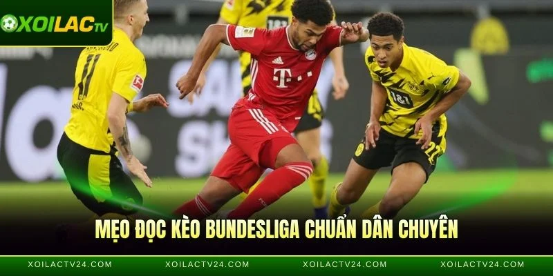 Mẹo đọc kèo Bundesliga chuẩn dân chuyên