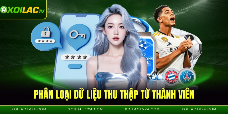 Phân loại dữ liệu thu thập từ thành viên