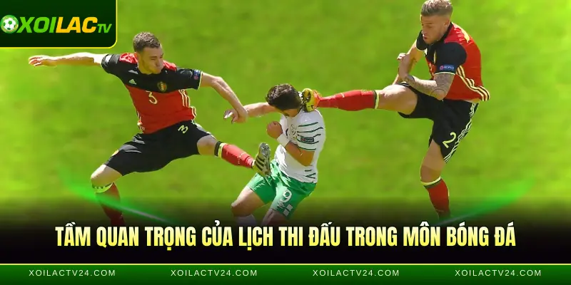 Tầm quan trọng của lịch thi đấu trong môn bóng đá