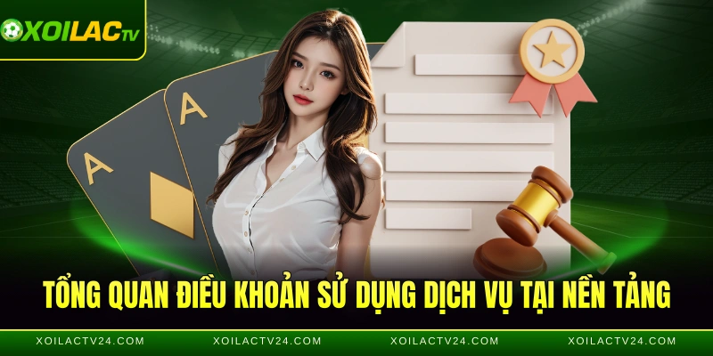 Tổng quan điều khoản sử dụng dịch vụ tại nền tảng
