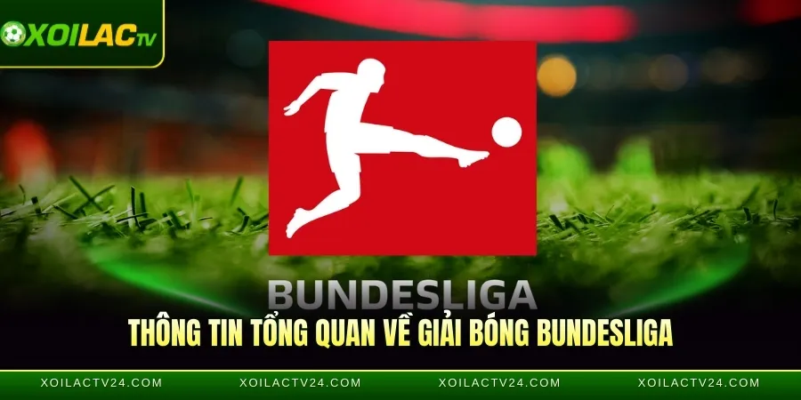 Thông tin tổng quan về giải bóng Bundesliga